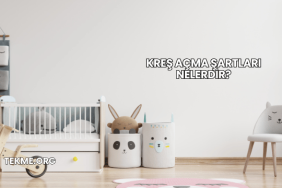 Kreş Açma Şartları Nelerdir?