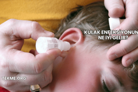 Kulak Enfeksiyonuna Ne İyi Gelir?