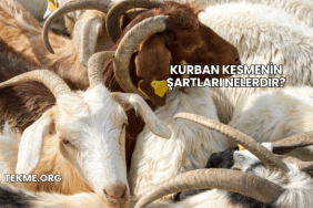 Kurban Kesmenin Şartları Nelerdir?
