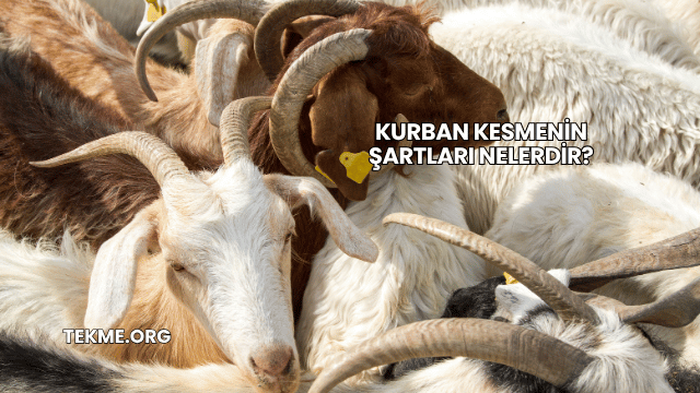 Kurban Kesmenin Şartları Nelerdir?