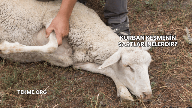 Kurban Kesmenin Şartları Nelerdir?