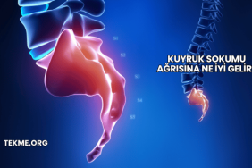 Kuyruk Sokumu Ağrısına Ne İyi Gelir?