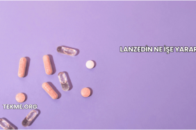 Lanzedin Ne İşe Yarar?