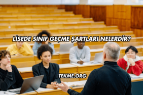 Lisede Sınıf Geçme Şartları Nelerdir?