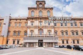 MSÜ Başvuru Şartları Nelerdir?