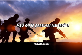 MSÜ Giriş Şartları Nelerdir?