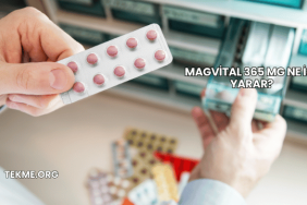 Magvital 365 Mg Ne İşe Yarar?