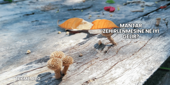 Mantar Zehirlenmesine Ne İyi Gelir?