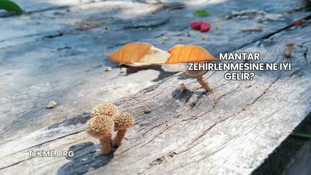 Mantar Zehirlenmesine Ne İyi Gelir?