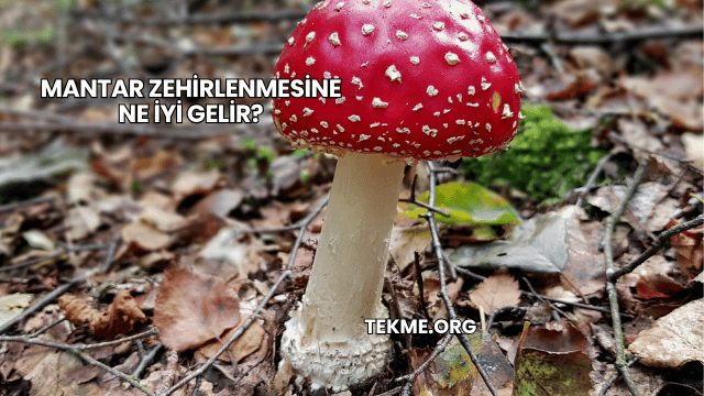 Mantar Zehirlenmesine Ne İyi Gelir?
