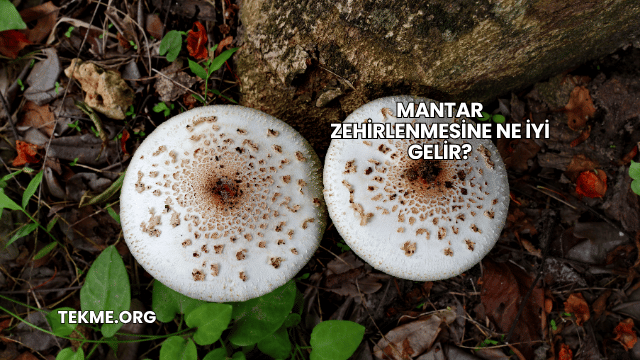 Mantar Zehirlenmesine Ne İyi Gelir?
