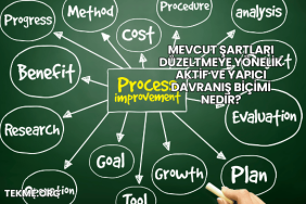 Mevcut Şartları Düzeltmeye Yönelik Aktif Ve Yapıcı Davranış Biçimi Nedir?
