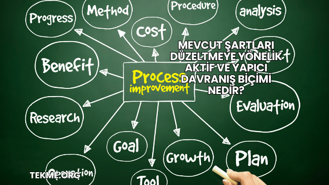 Mevcut Şartları Düzeltmeye Yönelik Aktif Ve Yapıcı Davranış Biçimi Nedir?
