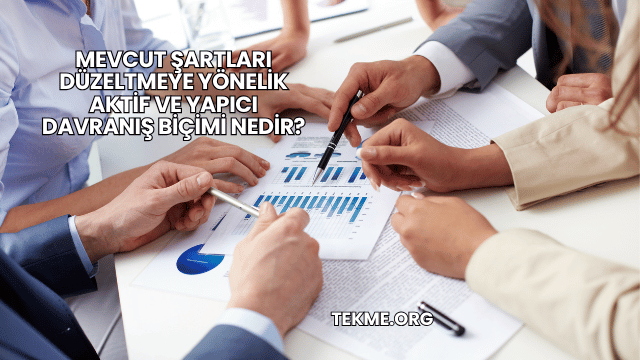 Mevcut Şartları Düzeltmeye Yönelik Aktif Ve Yapıcı Davranış Biçimi Nedir?