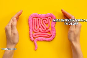 Mide Enfeksiyonuna Ne İyi Gelir?
