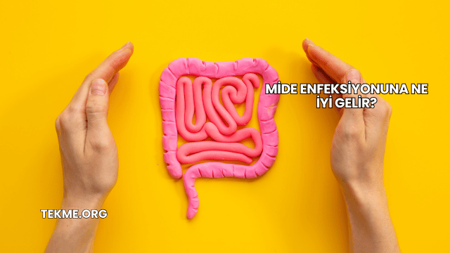 Mide Enfeksiyonuna Ne İyi Gelir?