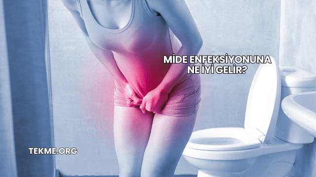 Mide Enfeksiyonuna Ne İyi Gelir?