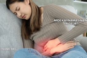 Mide Kaynamasına Ne İyi Gelir?