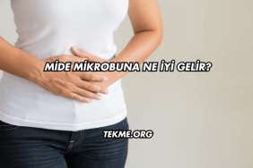 Mide Mikrobuna Ne İyi Gelir?