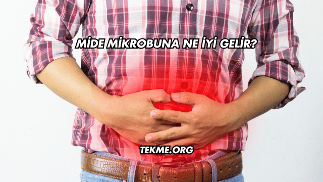 Mide Mikrobuna Ne İyi Gelir?