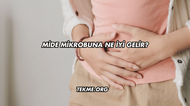 Mide Mikrobuna Ne İyi Gelir?
