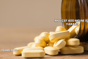 Molcef 400 Mg Ne İşe Yarar?
