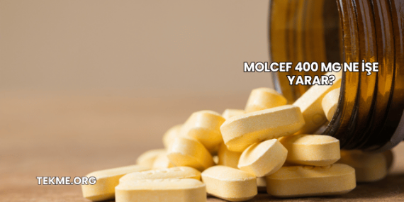Molcef 400 Mg Ne İşe Yarar?