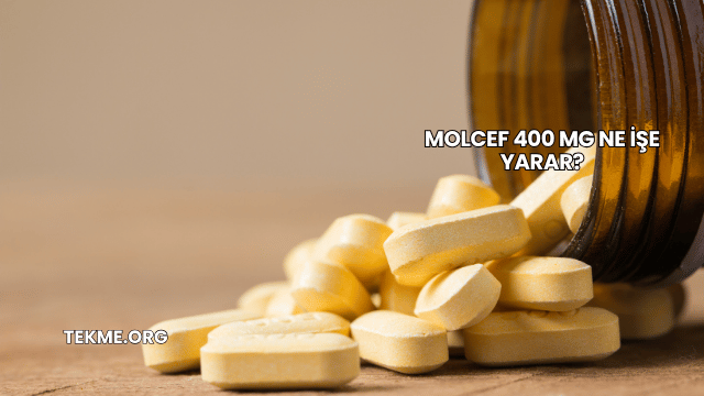 Molcef 400 Mg Ne İşe Yarar?