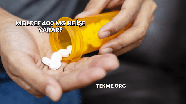 Molcef 400 Mg Ne İşe Yarar?