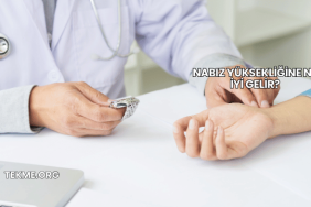 Nabız Yüksekliğine Ne İyi Gelir?