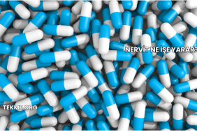 Nervit Ne İşe Yarar?