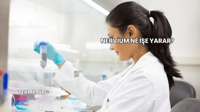 Nervium Ne İşe Yarar?