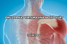 Omuzda Kas Yırtılmasına Ne İyi Gelir?