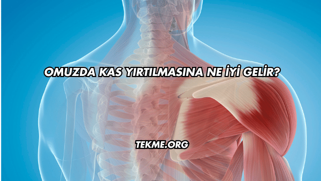 Omuzda Kas Yırtılmasına Ne İyi Gelir?