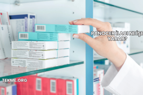 Panocer İlacı Ne İşe Yarar?