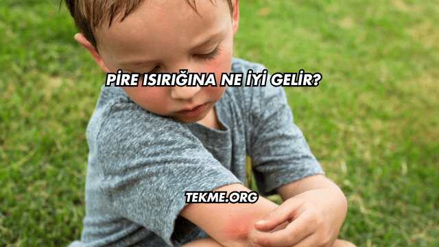 Pire Isırığına Ne İyi Gelir?