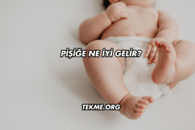 Pişiğe Ne İyi Gelir?