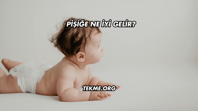 Pişiğe Ne İyi Gelir?