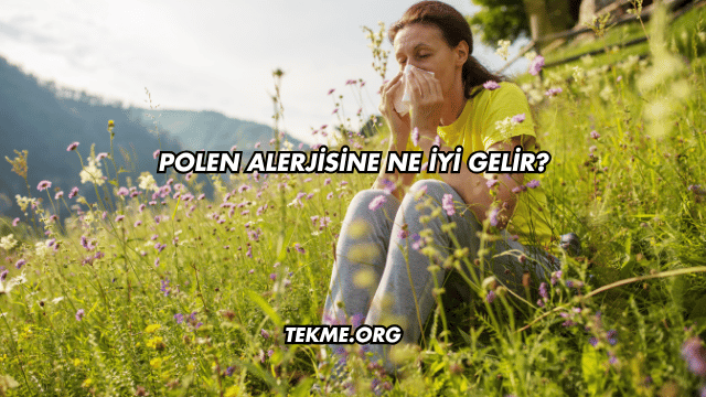 Polen Alerjisine Ne İyi Gelir?