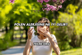 Polen Alerjisine Ne İyi Gelir?