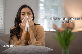 Polen Alerjisine Ne İyi Gelir?