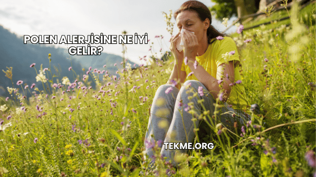 Polen Alerjisine Ne İyi Gelir?
