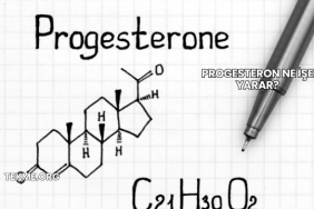 Progesteron Ne İşe Yarar?
