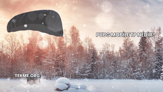 Pubg Mobile TP Nedir?