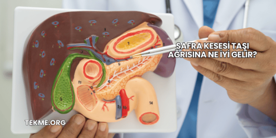 Safra Kesesi Taşı Ağrısına Ne İyi Gelir?