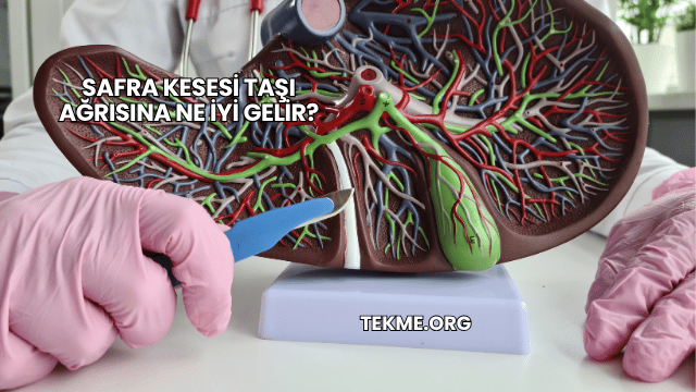 Safra Kesesi Taşı Ağrısına Ne İyi Gelir?