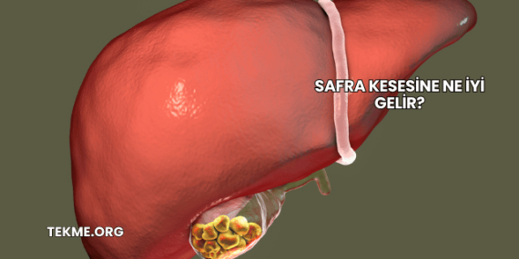 Safra Kesesine Ne İyi Gelir?