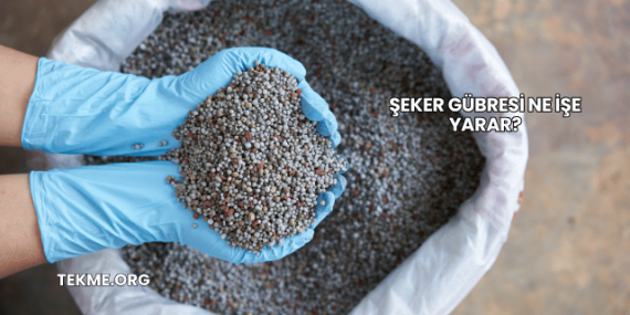 Şeker Gübresi Ne İşe Yarar?