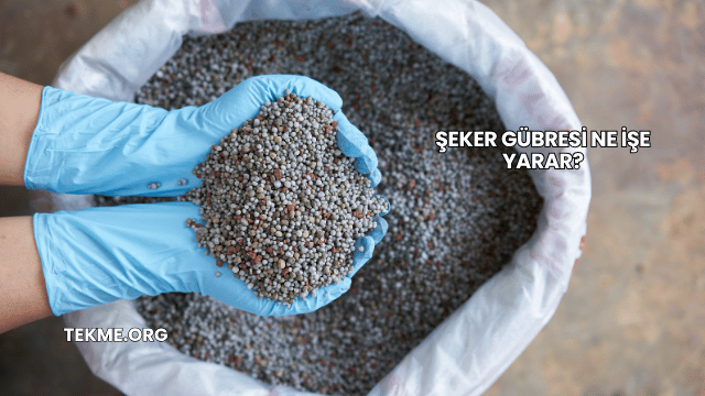 Şeker Gübresi Ne İşe Yarar?