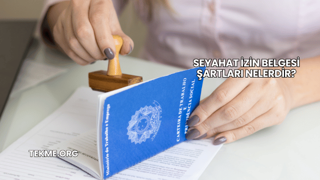 Seyahat İzin Belgesi Şartları Nelerdir?
